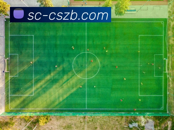 彩神争霸服务体系